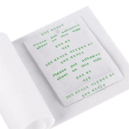 PARCHE KINOKI NATURAL LIMPIEZA TOXINA PAQUETE DE 10 PIEZAS